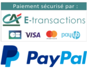 logo-paiement-e-transaction-paypal-300x234