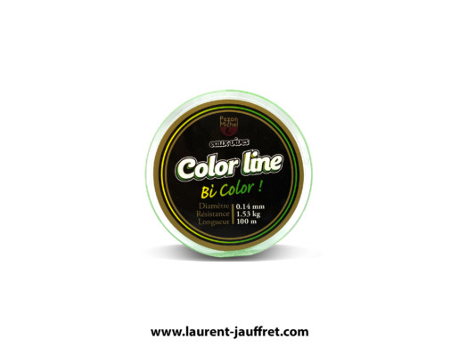 CORPS_DE_LIGNE_NYLON_PEZON_ET_MICHEL_COLORLINE_BICOLORE_VERT_BOBINE