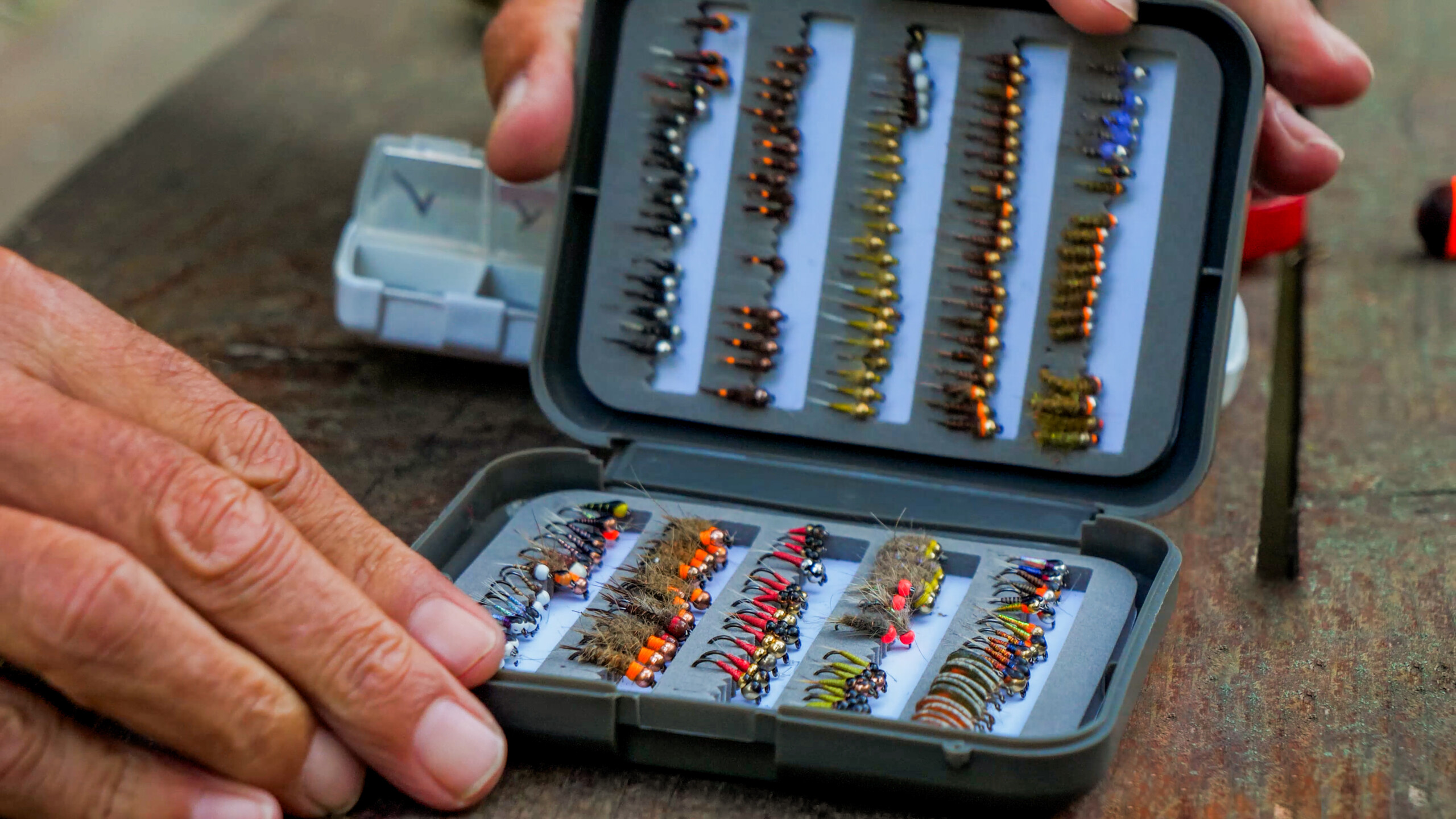 boite nymphes sur mesure laurent jauffret