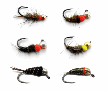 Kit Nymphes Lourdes, 6 nymphes en taille 10